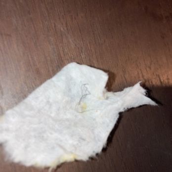 Kung Food Cafe - Pubic hairs in my food - Chinese Near Me - Houston, Texas