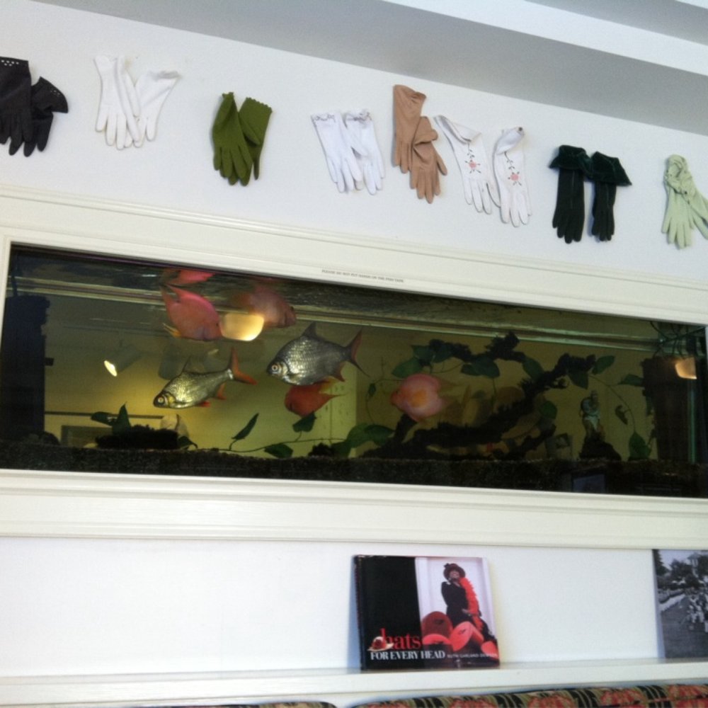 THE BEST 10 Dental Crown near East Solano Ave, Berkeley, CA - Quality &  Affordability - Updated 2026 - Yelp