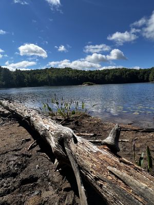 Arrowhead Provincial Park by null