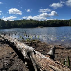 Arrowhead Provincial Park - Mayflower Lake