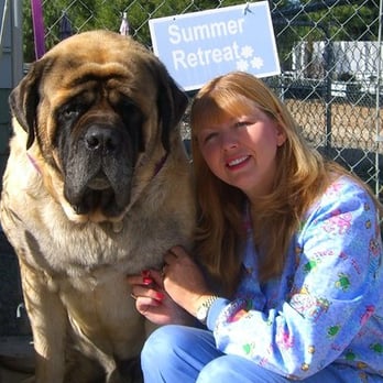 Animals First 4U - Pet Groomers Near Me - Menifee, California Animals First 4U - Pet Groomers Near Me - Menifee, California