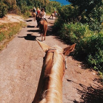 Circle M Ranch - Horseback Riding Near Me - Wailuku, Hawaii Circle M Ranch - Horseback Riding Near Me - Wailuku, Hawaii