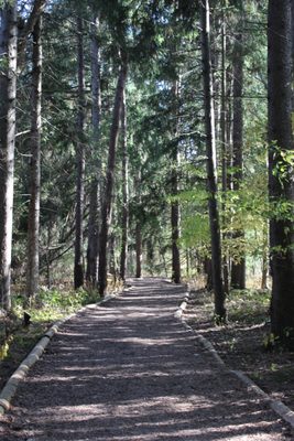 Rouge National Urban Park by null