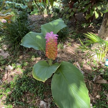 Naples Botanical Garden - Botanical Gardens Near Me - Naples, Florida