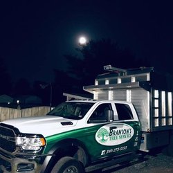 Branson's Tree Service - untitled