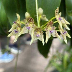 Washington, DC: food, museums, bars, coffee shops, etc.