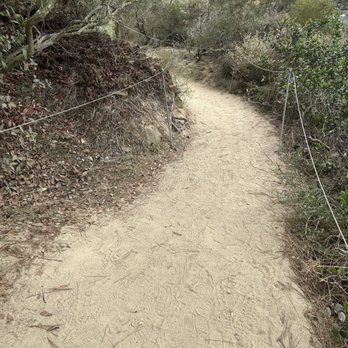 Torrey Pines State Reserve - Calming trail - Parks Near Me - La Jolla, California Torrey Pines State Reserve - Calming trail - Parks Near Me - La Jolla, California