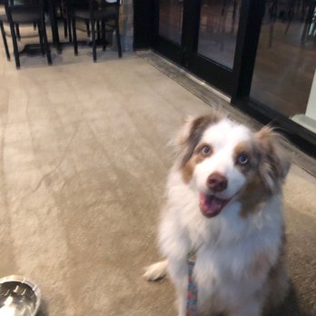 Glory Days Grill - Dog friendly - Sports Bars Near Me - Riverview, Florida