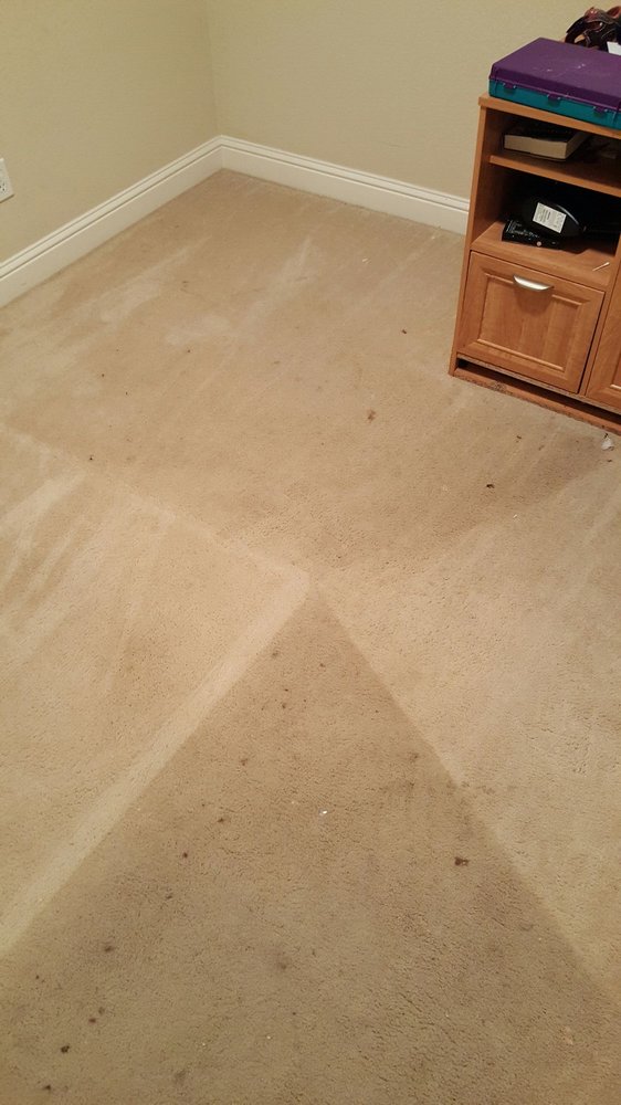 FERGIE’S CARPET CARE Updated August 2024 14 Photos & 21 Reviews