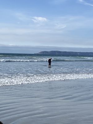 Silver Strand by null