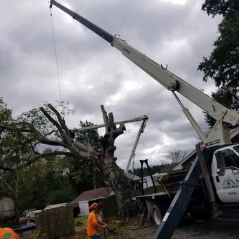 Scott Lanes Tree Service - Tree Services Near Me - Chesapeake, Virginia Scott Lanes Tree Service - Tree Services Near Me - Chesapeake, Virginia