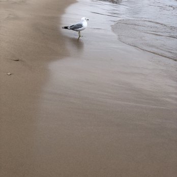 Oak Street Beach - Beaches Near Me - Chicago, Illinois