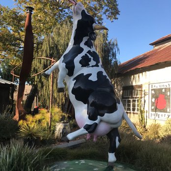 Harmony Pottery - Frisbee cow! - Art Galleries Near Me - Harmony, California
