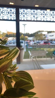 Kale Me Crazy by null