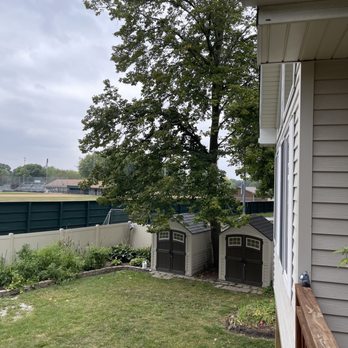 JG Landscaping - Tree before trim - Landscaping Near Me JG Landscaping - Tree before trim - Landscaping Near Me