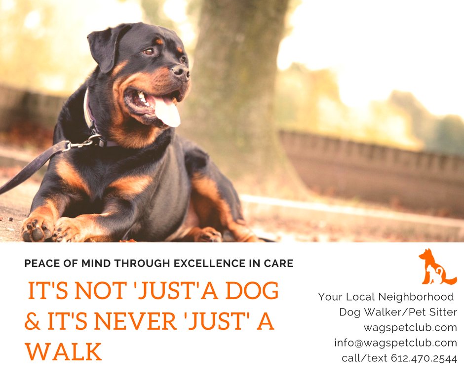 WAGS PET CLUB Updated September 2024 15 Photos Roseville