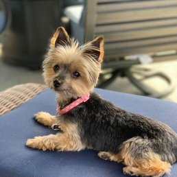 Bella Bella