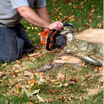 Lowery's Tree Service - Tree Services Near Me - Lebanon, Tennessee
