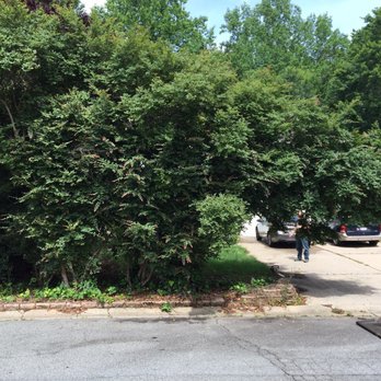 Southern Roots Landscaping - a car parked on the side of the road - Tree Services Near Me Southern Roots Landscaping - a car parked on the side of the road - Tree Services Near Me