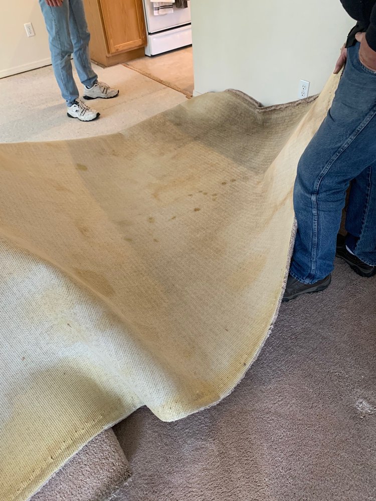 PIERCE PROPERTY MANAGEMENT Updated May 2024 59 Photos & 58 Reviews