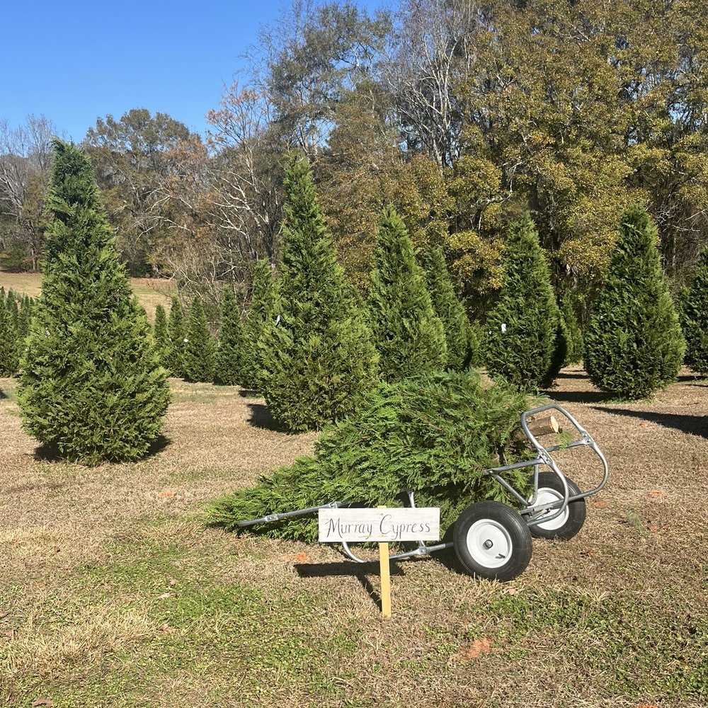 7 G's Farm - Nurseries & Gardening Near Me - Nicholson, Georgia 7 G's Farm - Nurseries & Gardening Near Me - Nicholson, Georgia