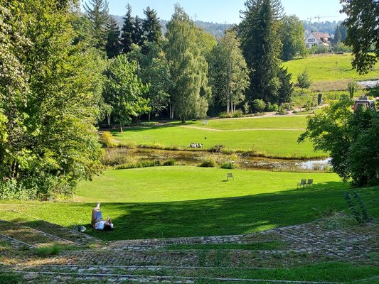 Botanical Garden by null