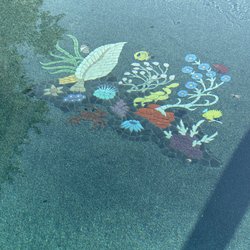 Southern Pools of Florida