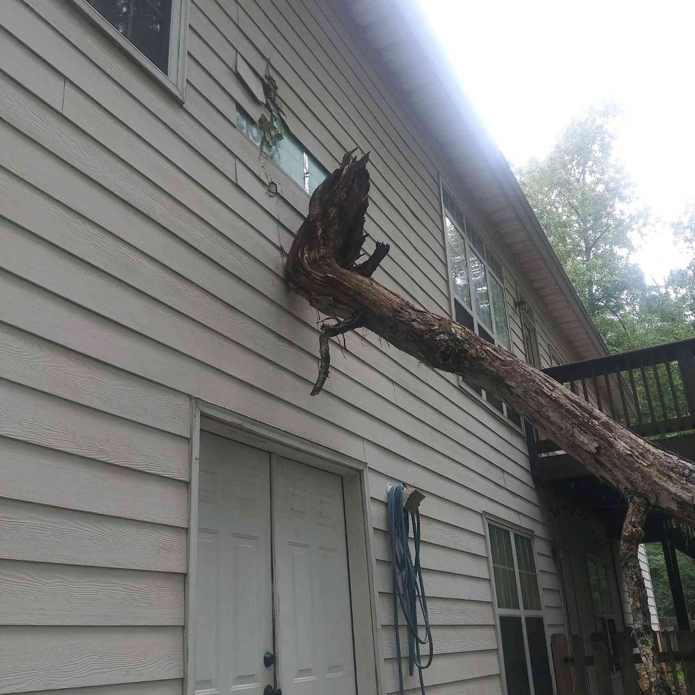 Barkers 360 Services - Tree Services Near Me - Jonesboro, Georgia Barkers 360 Services - Tree Services Near Me - Jonesboro, Georgia