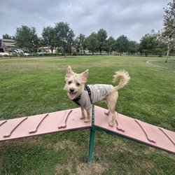 Dairyland Park - Cash loves this dog park so clean and big small dog area