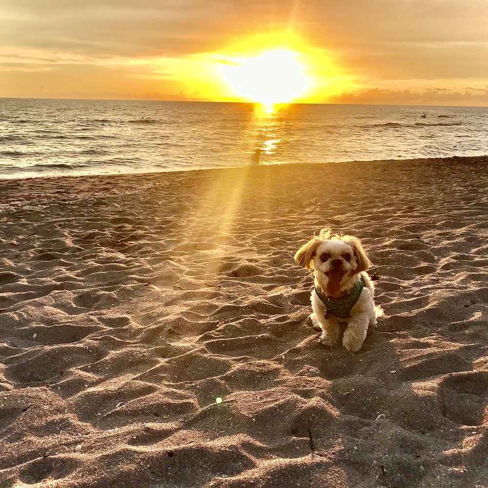 Turtle Beach - Beaches Near Me