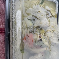 Thai Thai Cuisine - Green Curry