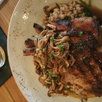 Sycamore - Lamb chops - New American Near Me - Newton, Massachusetts Sycamore - Lamb chops - New American Near Me - Newton, Massachusetts