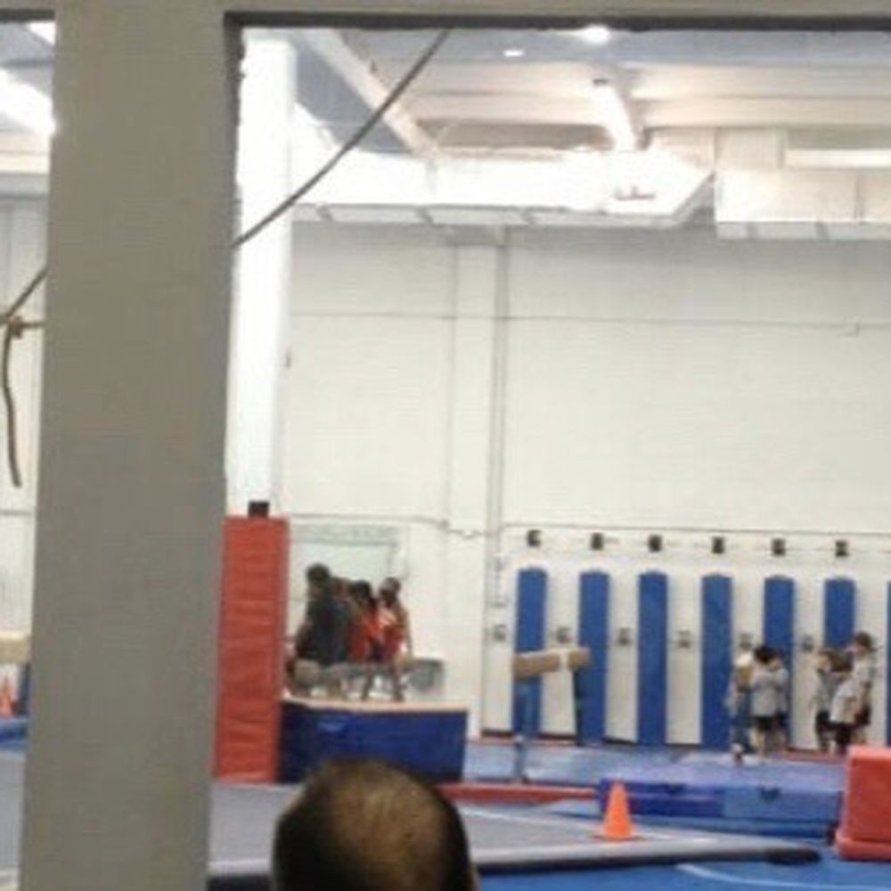 Florida Gymnastics Training Center - A huge gym - Gyms Near Me - Miami, Florida Florida Gymnastics Training Center - A huge gym - Gyms Near Me - Miami, Florida