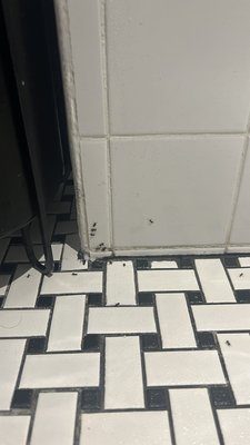 Hotel Rose Bourbon by null