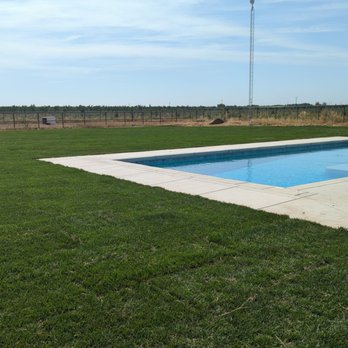 Delta Charlie Sod - Beautiful sod! - Landscaping Near Me