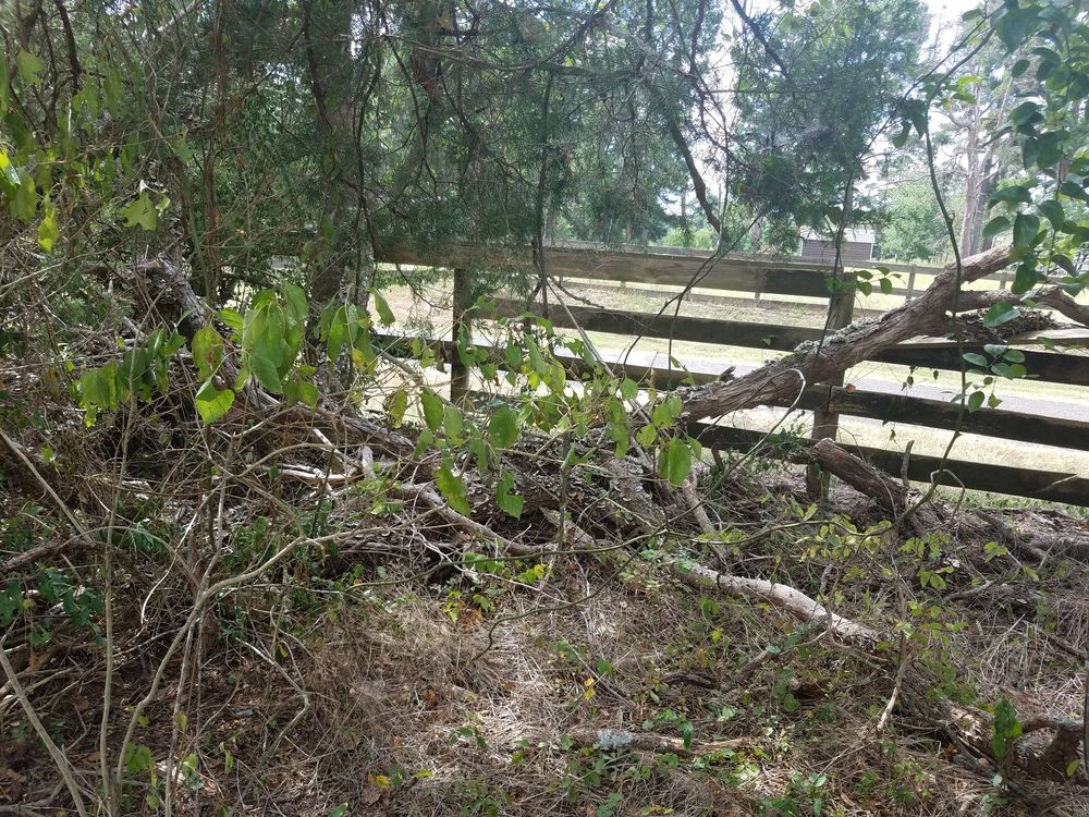 Slide of SCE Landscaping/Tree Service