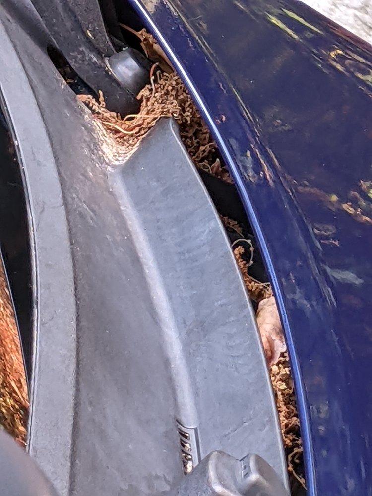 VILLAGE DETAIL 154 Photos & 62 Reviews 101 Great Rd, Acton