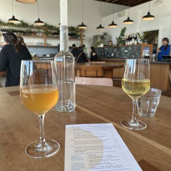 Palm City Wines - Skin contact (orange wine) and the Picpoul white wine - Wine Bars Near Me - San Francisco, California Palm City Wines - Skin contact (orange wine) and the Picpoul white wine - Wine Bars Near Me - San Francisco, California