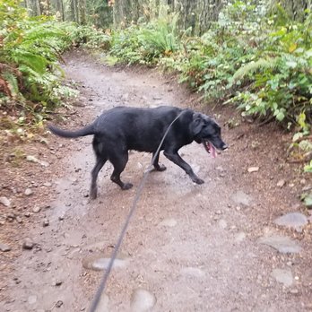 Milo McIver State Park - Parks Near Me - Estacada, Oregon