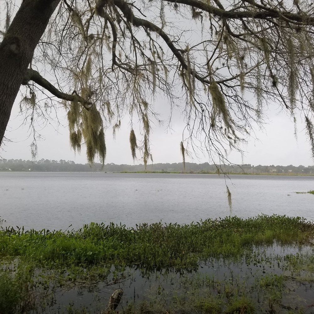 Prairie Lake Park - Parks Near Me - Ocoee, Florida