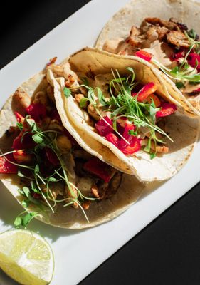 Lobera Tacos & Tequila by null