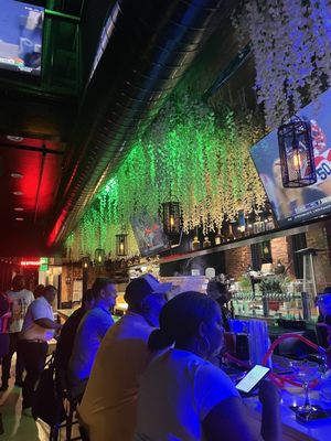 Focus Social Club by null