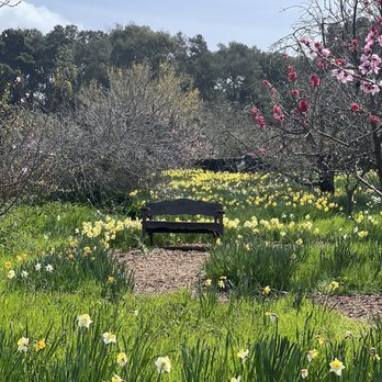Filoli - Botanical Gardens Near Me - Woodside, California