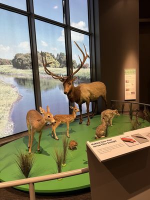 North Dakota Heritage Center & State Museum by null