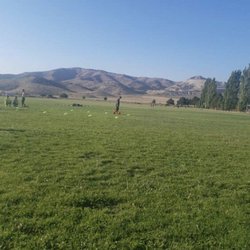 Benz Visco Youth Sports & Cultural Park