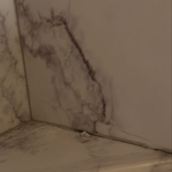 Cabins For You - Mold in shower 2 - Vacation Rentals Near Me - Gatlinburg, Tennessee Cabins For You - Mold in shower 2 - Vacation Rentals Near Me - Gatlinburg, Tennessee