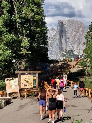 Glacier Point by null