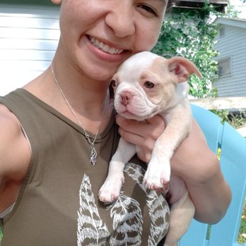 Jada's Pet Sitting Service - Pet Sitting Near Me Jada's Pet Sitting Service - Pet Sitting Near Me