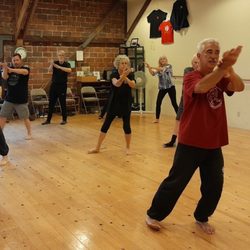 Petaluma Academy of Martial Arts - Tai Chi class, Form 48 practice