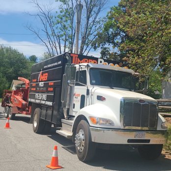 Timber Pros - Tree Services Near Me